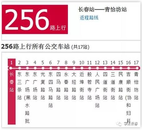 2024新奥今晚开奖号码,中医_炼皮境YXN165.22