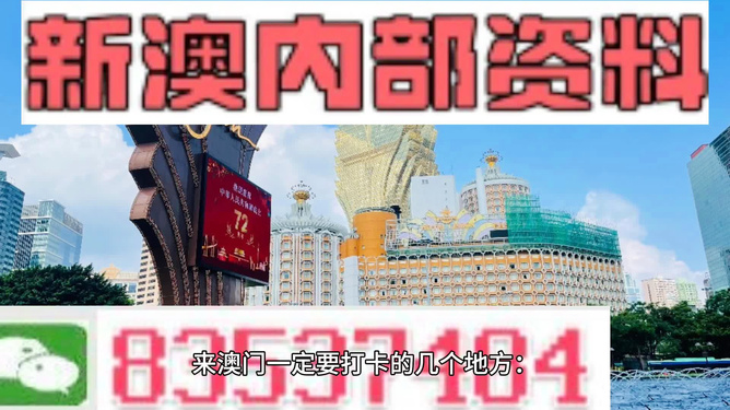 2024新澳门精准免费大全,效率资料解释落实_游戏版75.619